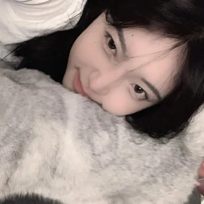 听风的歌
